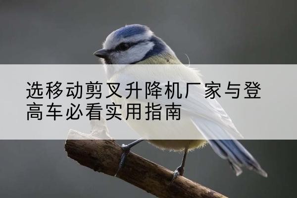 南召电动升降机厂家-选移动剪叉升降机厂家与登高车必看实用指南