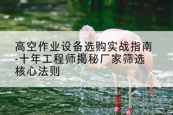 南召剪叉式升降机厂家-高空作业设备选购实战指南-十年工程师揭秘厂家筛选核心法则