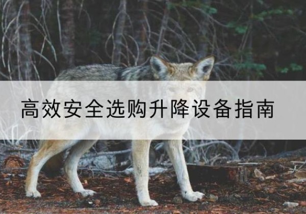南召升降货梯厂家推荐-*安全选购升降设备指南