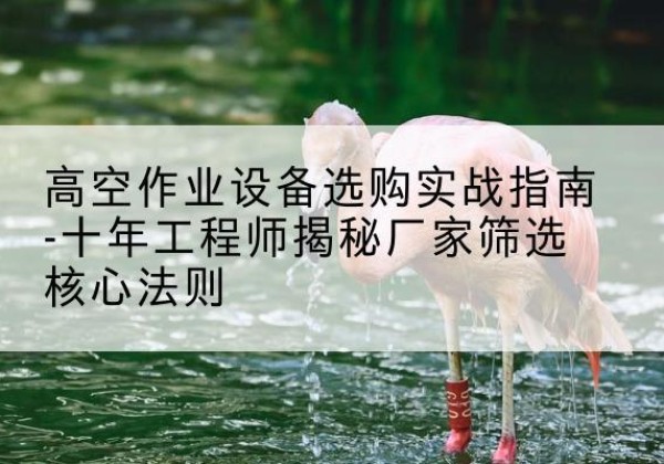 南召剪叉式升降机厂家-高空作业设备选购实战指南-十年工程师揭秘厂家筛选核心法则