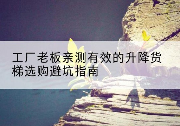 南召升降货梯怎么选-工厂老板亲测有效的升降货梯选购避坑指南